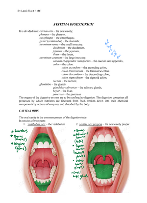 Internal Organs system SYSTEMA DIGESTORIUM It is divided into