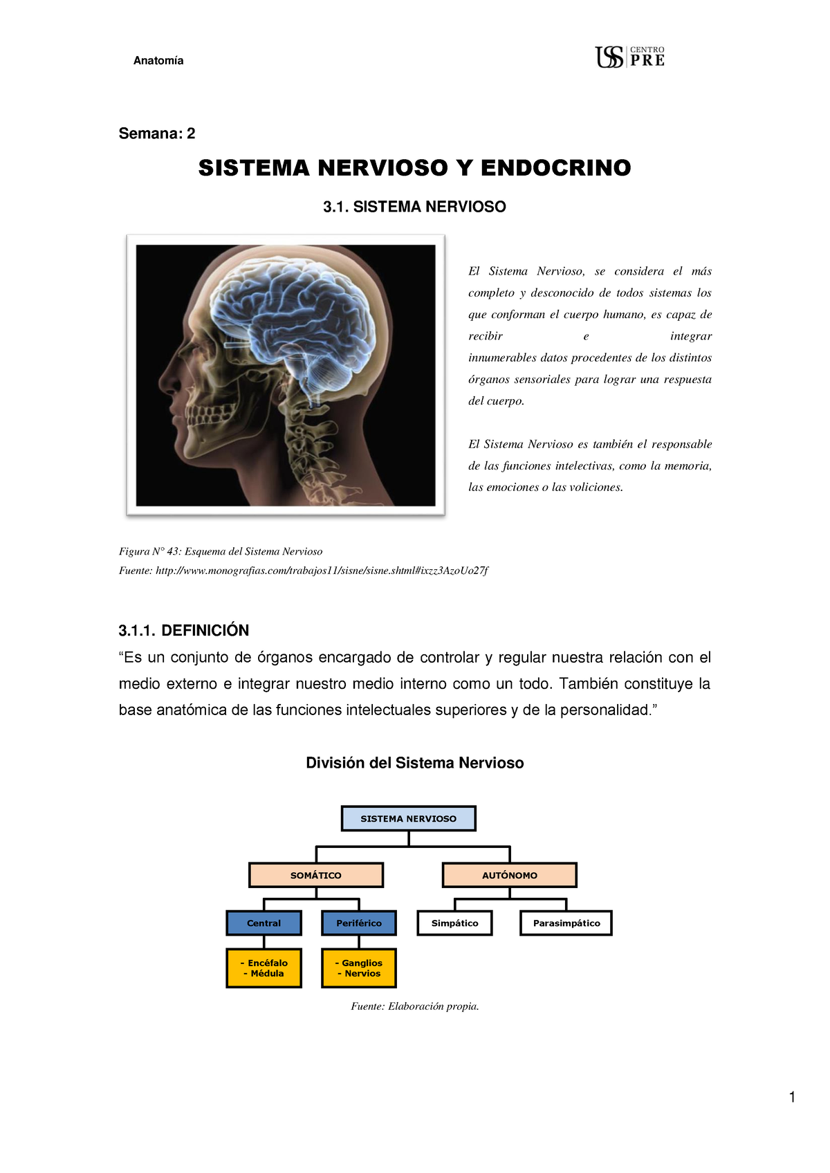 Lectura Complementaria 3 - Semana: 2 SISTEMA NERVIOSO Y ENDOCRINO 3 ...