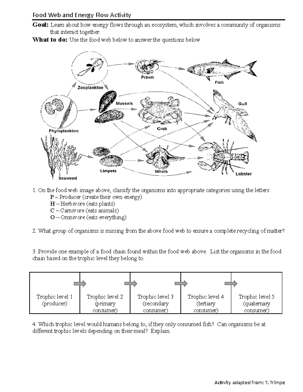 Food Web Worksheet Pdf - E-streetlight.com