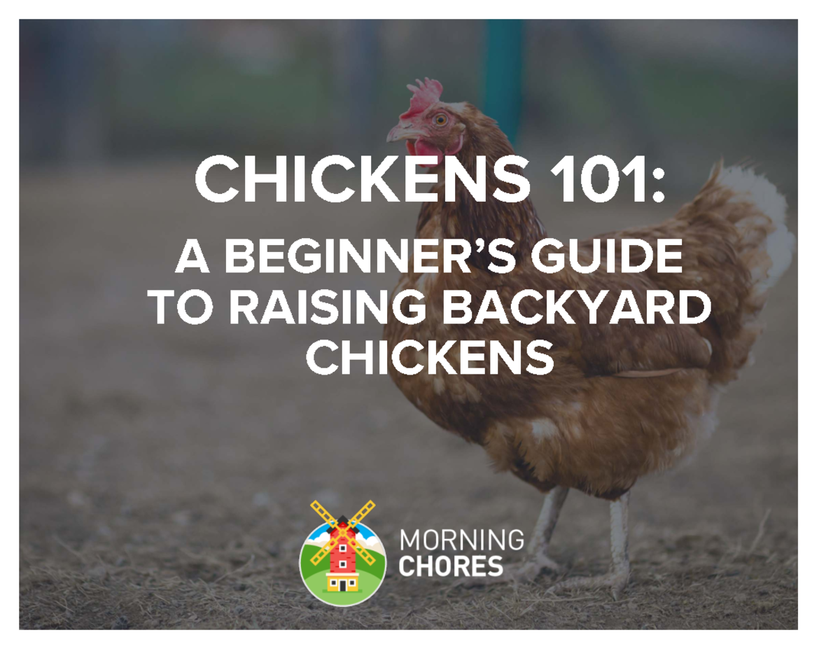 Chicken - CHICKENS 101: A BEGINNER’S GUIDE TO RAISING BACKYARD CHICKENS ...