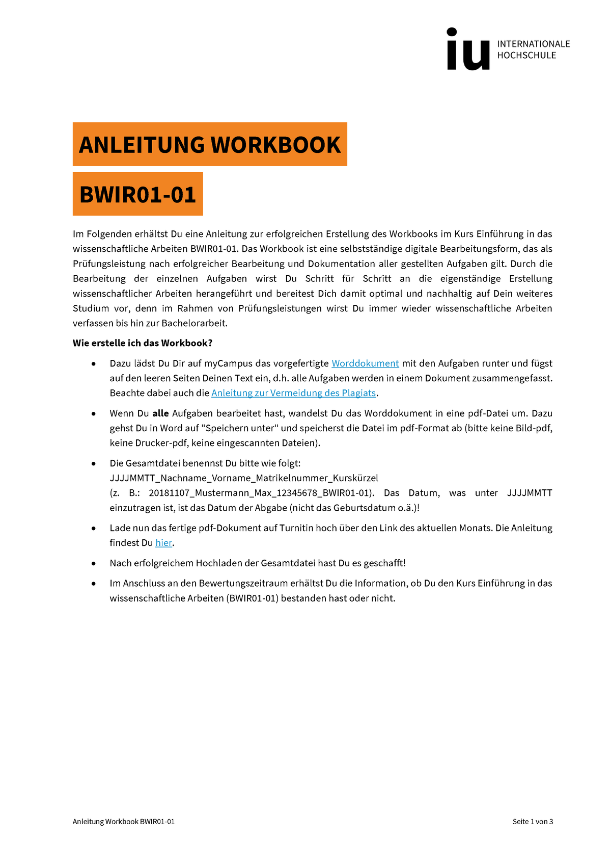 Anleitung Workbook BWIR01-01 - Das Workbook Ist Eine Selbstst‰ndige ...