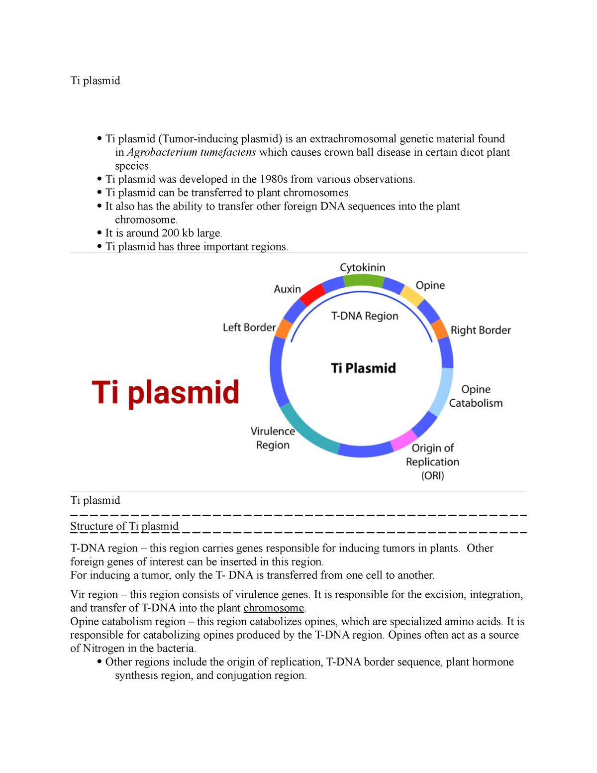 ti plasmid