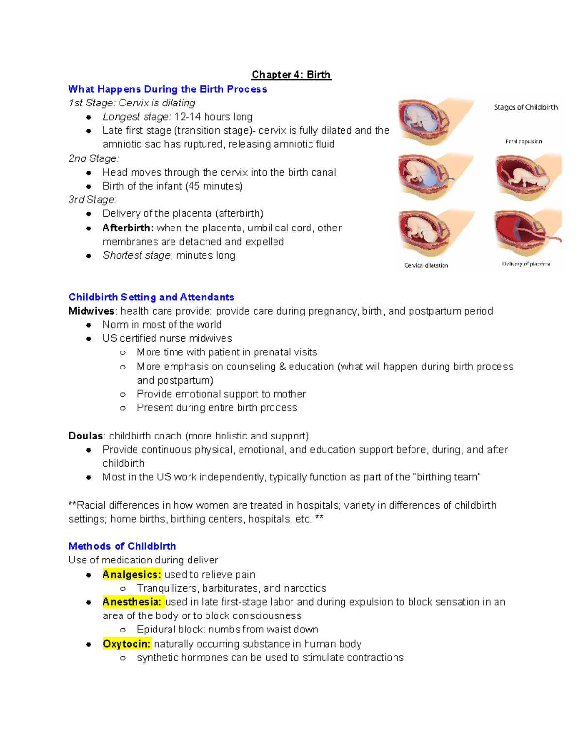 CHAPTER 4- Birth page 1 - Chapter 4: Birth What Happens During the ...