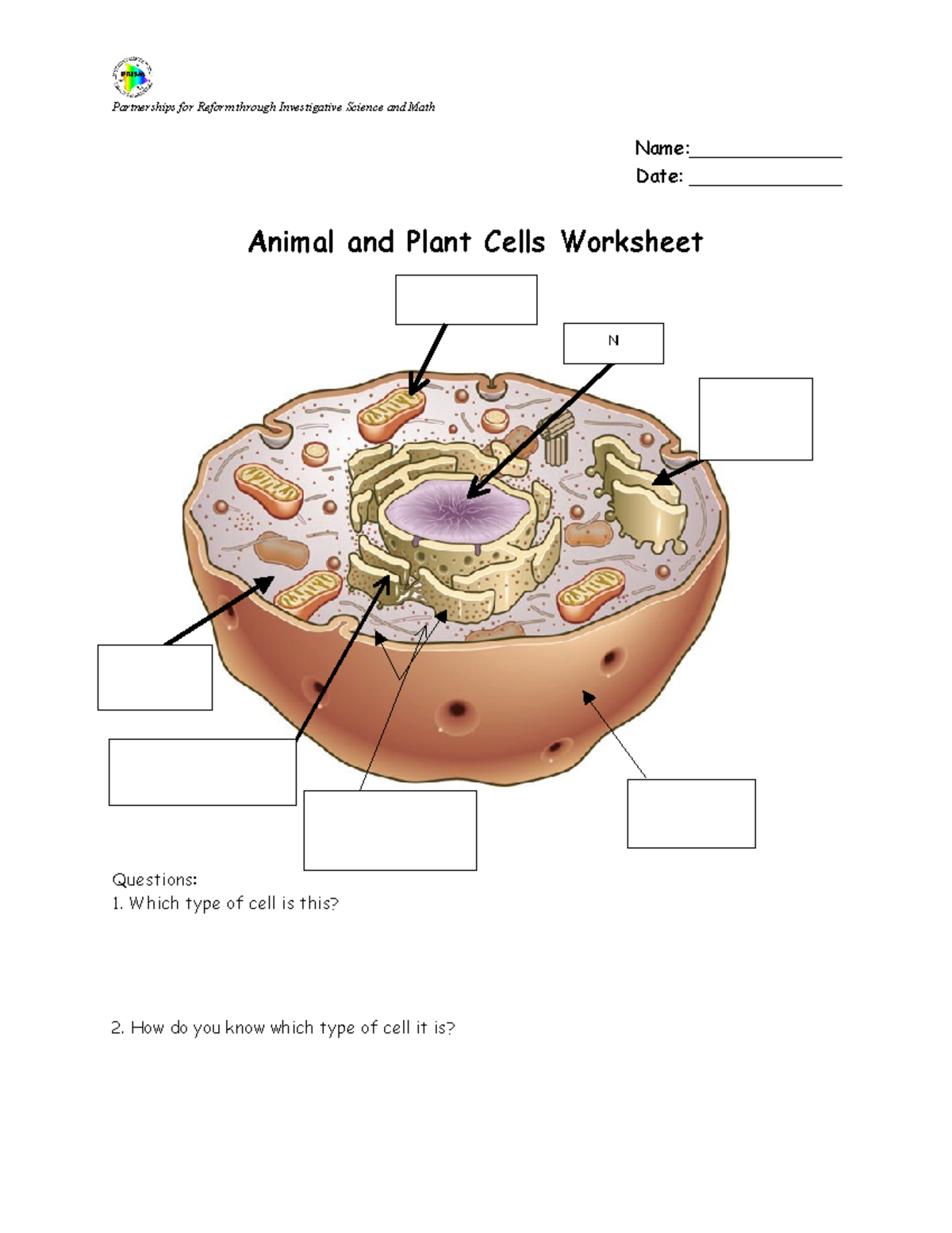 Cells practice worksheet 2 - Partnerships for Reform through ...