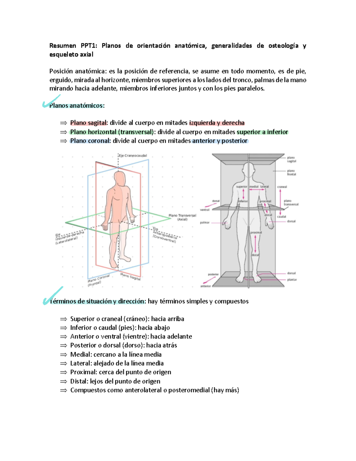 resumen-anatom-a-1-resumen-ppt1-planos-de-orientaci-n-anat-mica