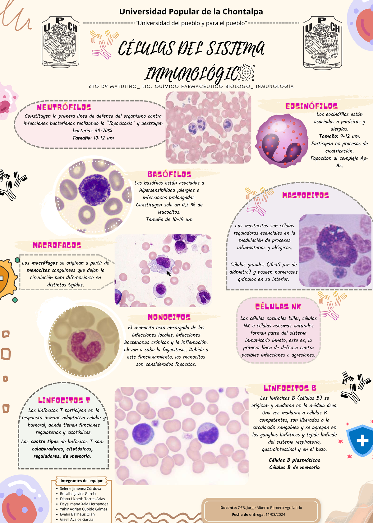 Infografía inmunología - CÉLULAS DEL SISTEMA INMUNOLÓGIC 6 T O D 9 M A ...