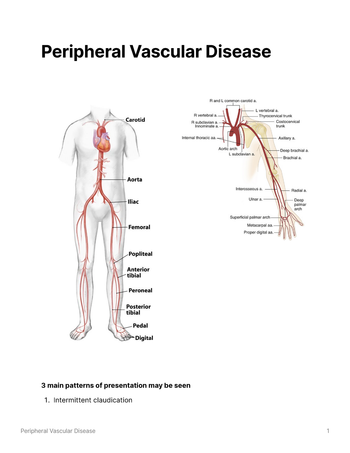 peripheral-vascular-disease-the-long-term-patency-rates-are-less-good