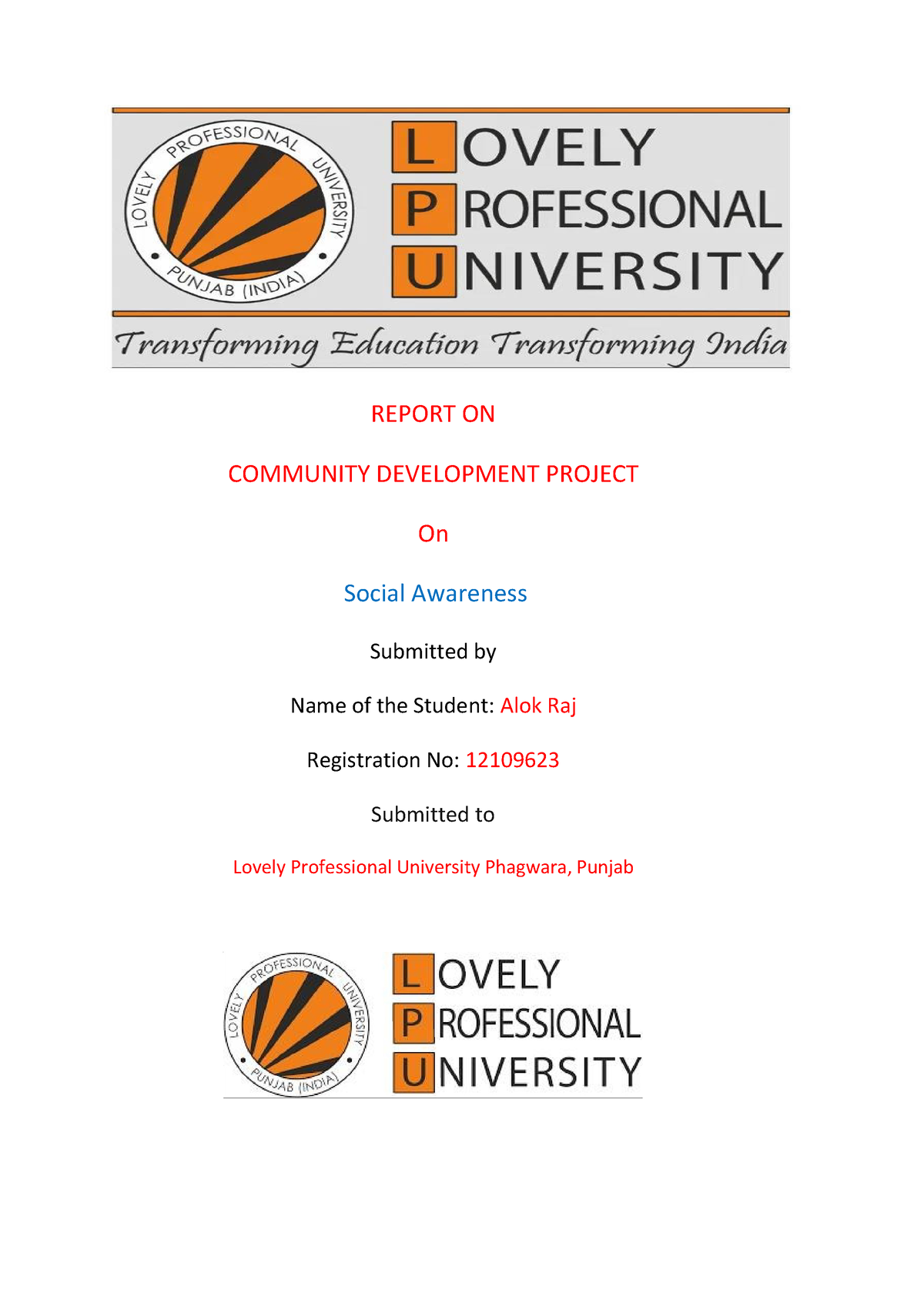 cdp-project-report-on-community-development-project-on-social