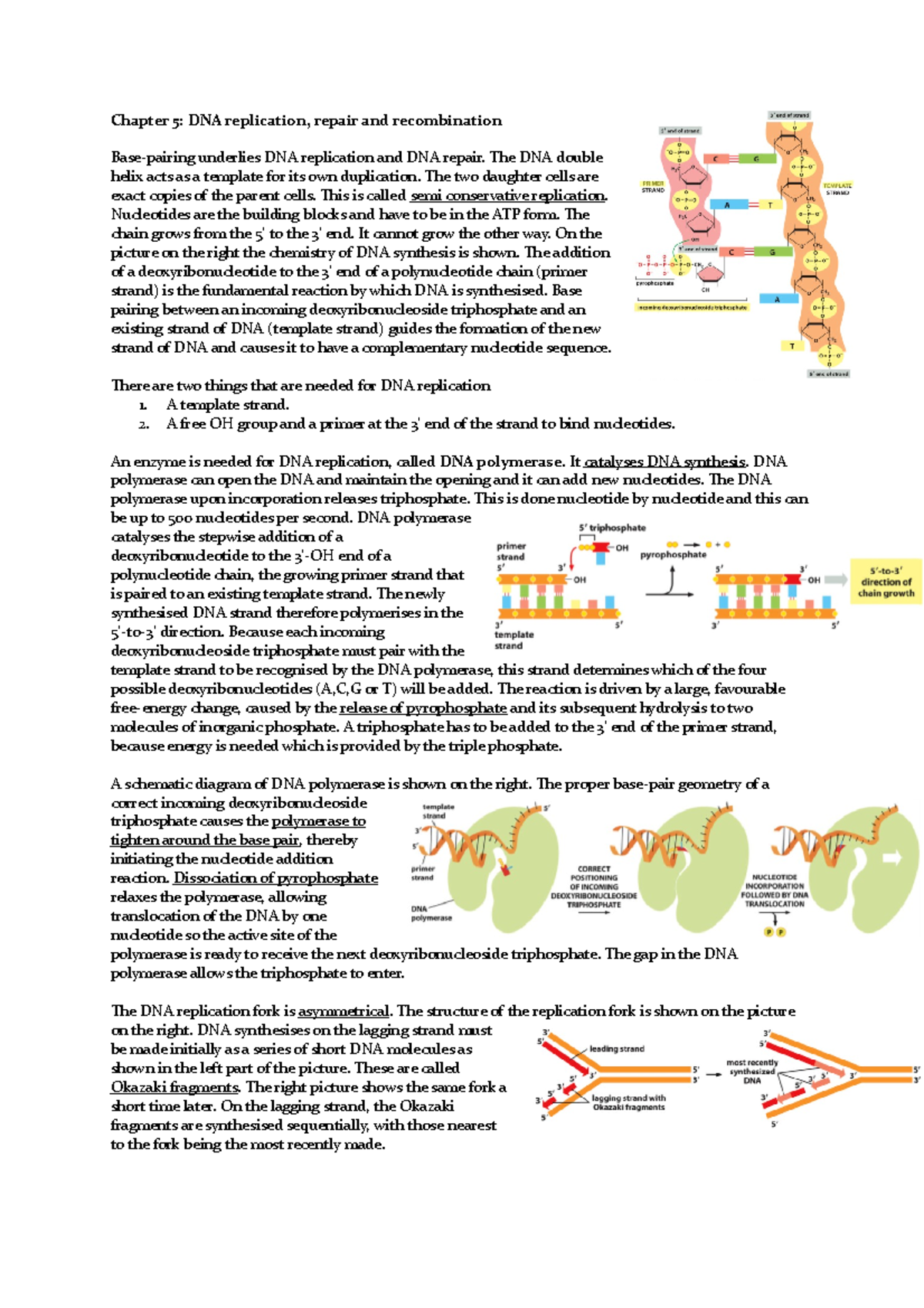 Mbotc 1 Chapter 5 2019 - Samenvatting Molecular Biology Of The Cell ...