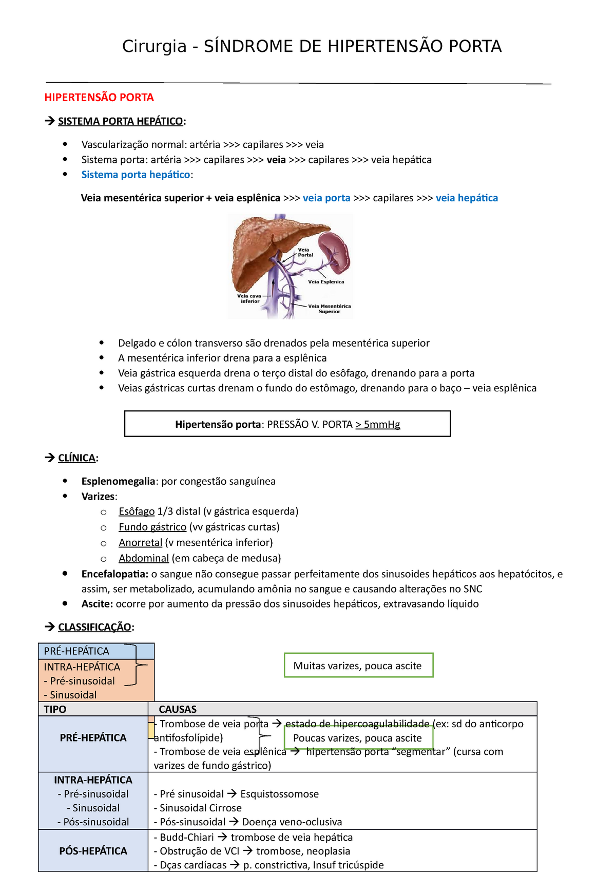 Síndrome DE Hipertensão Porta E Falência Hepática Cirurgia SÍNDROME DE HIPERTENSÃO PORTA