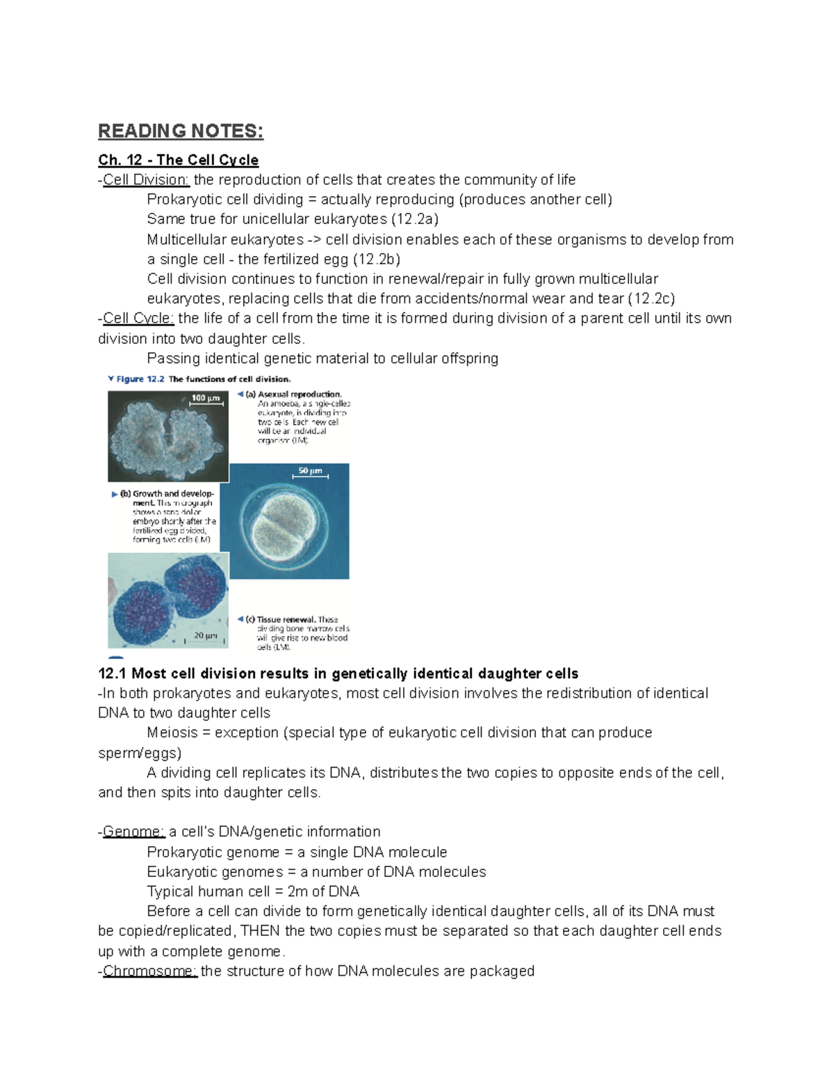 BISC 220 - THE CELL Cycle - READING NOTES: Ch. 12 - The Cell Cycle ...