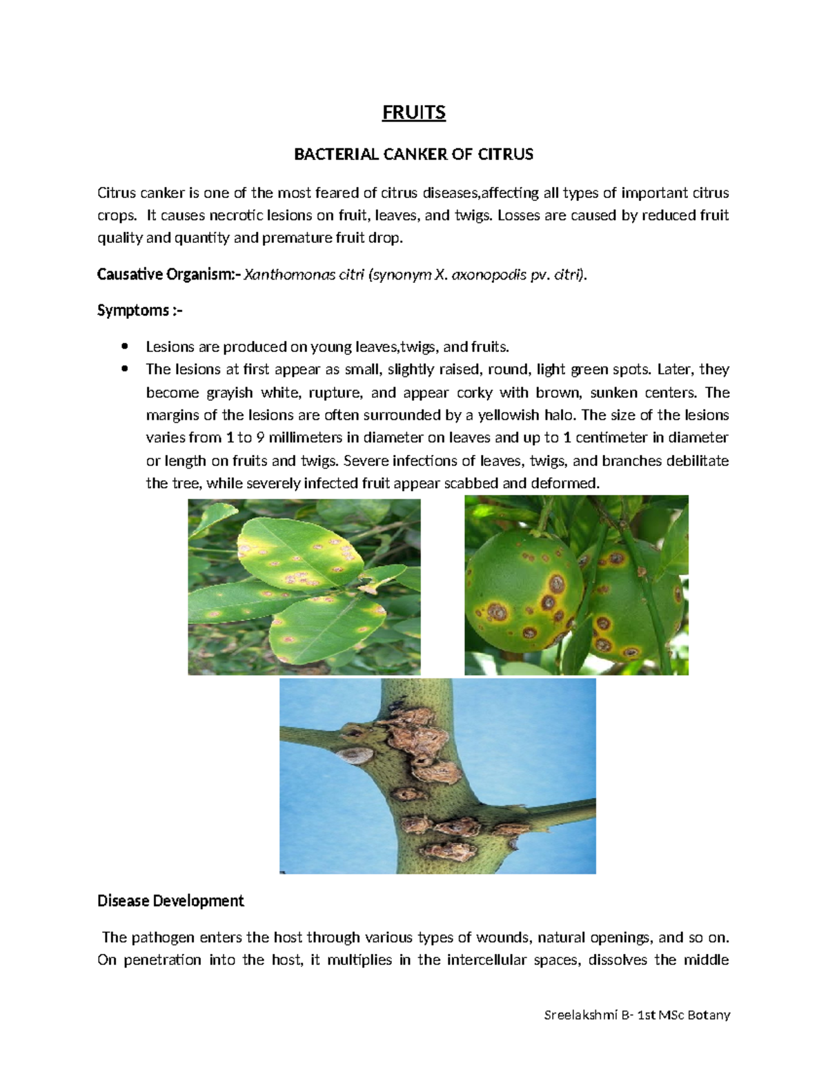 Crop pathology fruits disease FRUITS BACTERIAL CANKER OF CITRUS