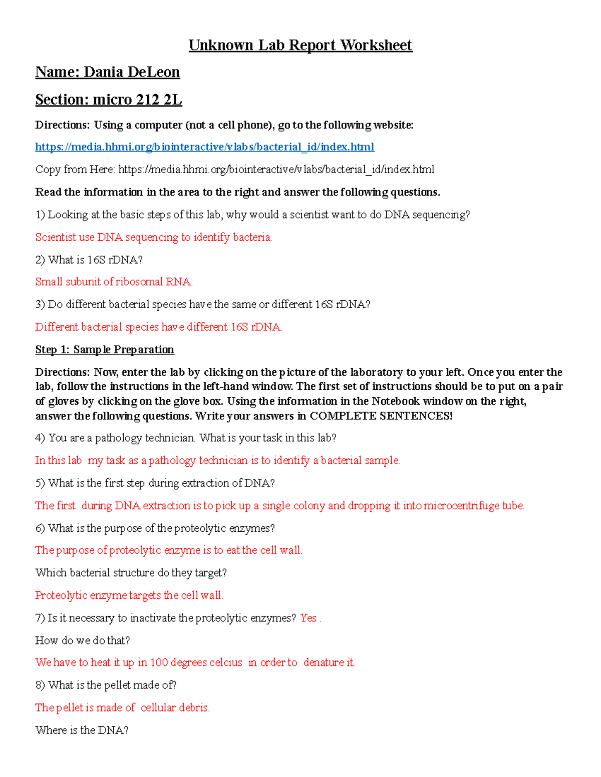 Unknown Lab Report Worksheet 1 Unknown Lab Report Worksheet Name