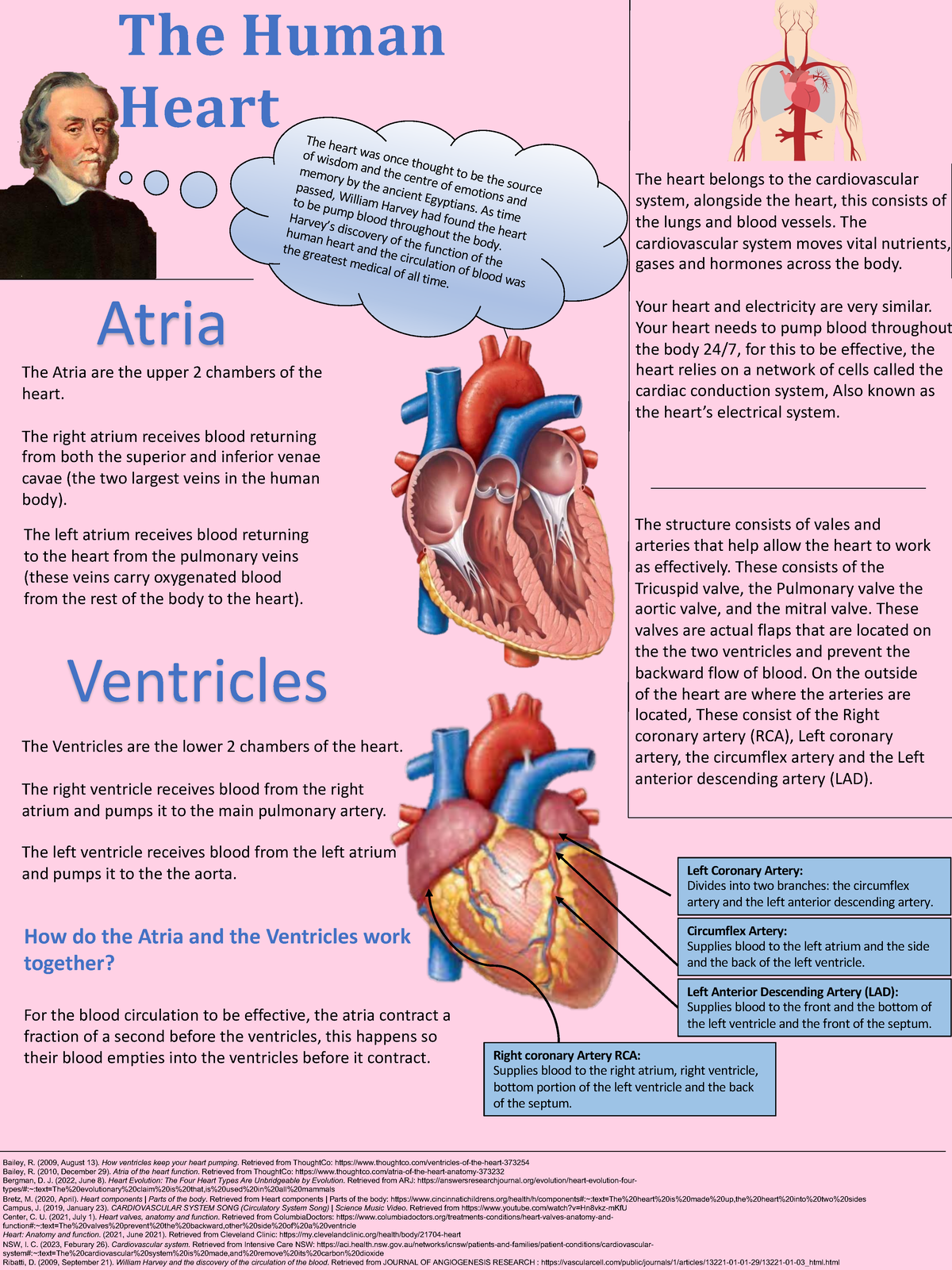 Heart Poster - The Atria are the upper 2 chambers of the heart. The ...