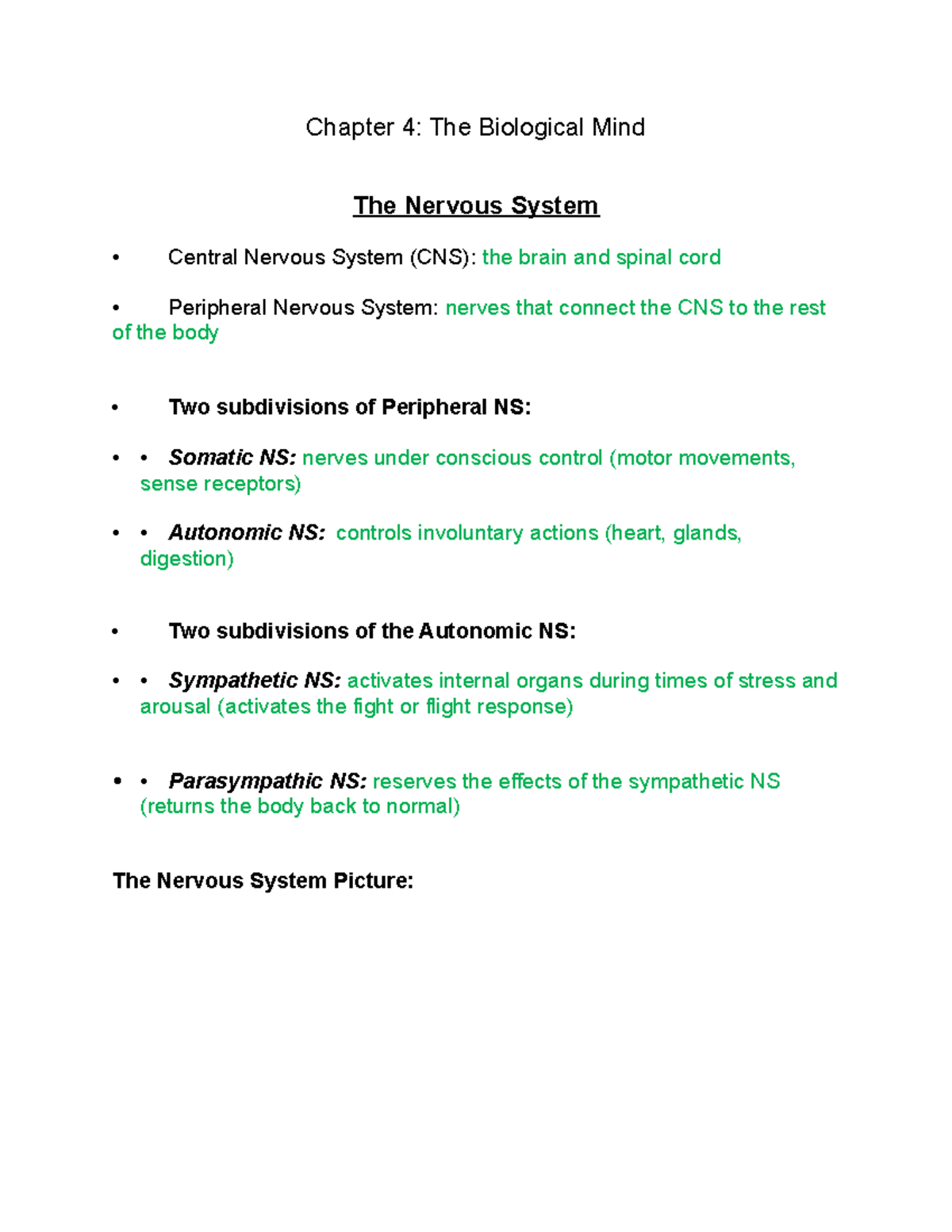 Psych Chapter 4 - Beth Gerace - Chapter 4: The Biological Mind The ...