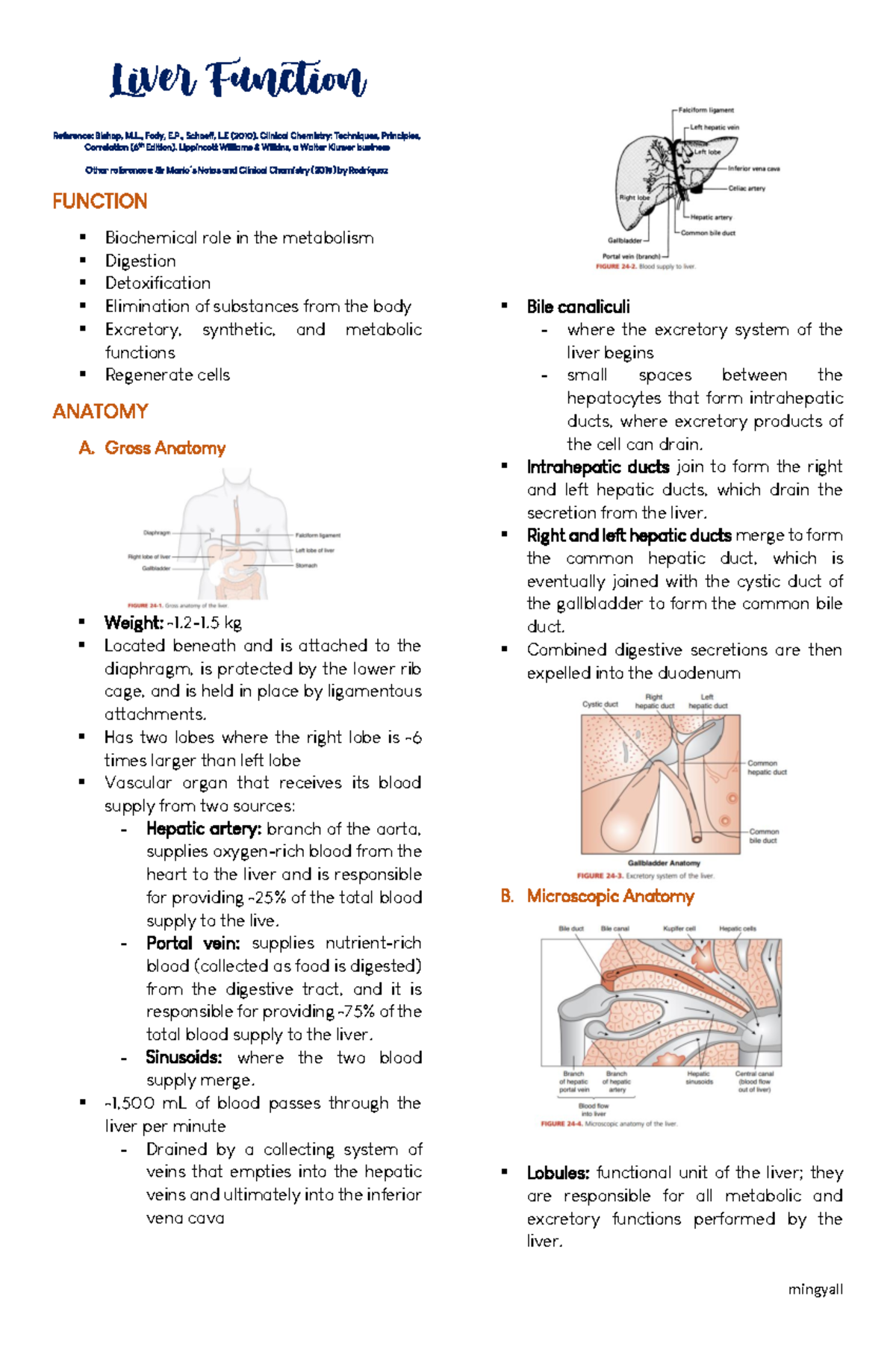 Liver Function (Trans) - Liver Function ReferencCe:o Brrisehlaotipo, nM ...