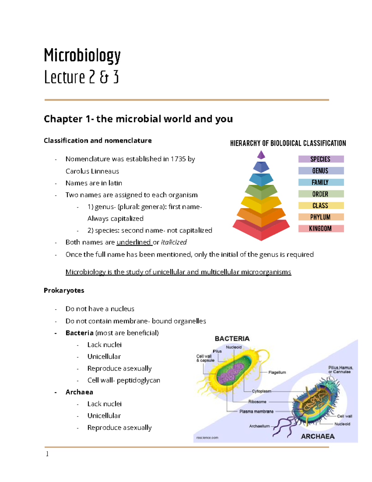 Microbiology Chapters 1+3 - Microbiology Lecture 2 & 3 Chapter 1- The ...