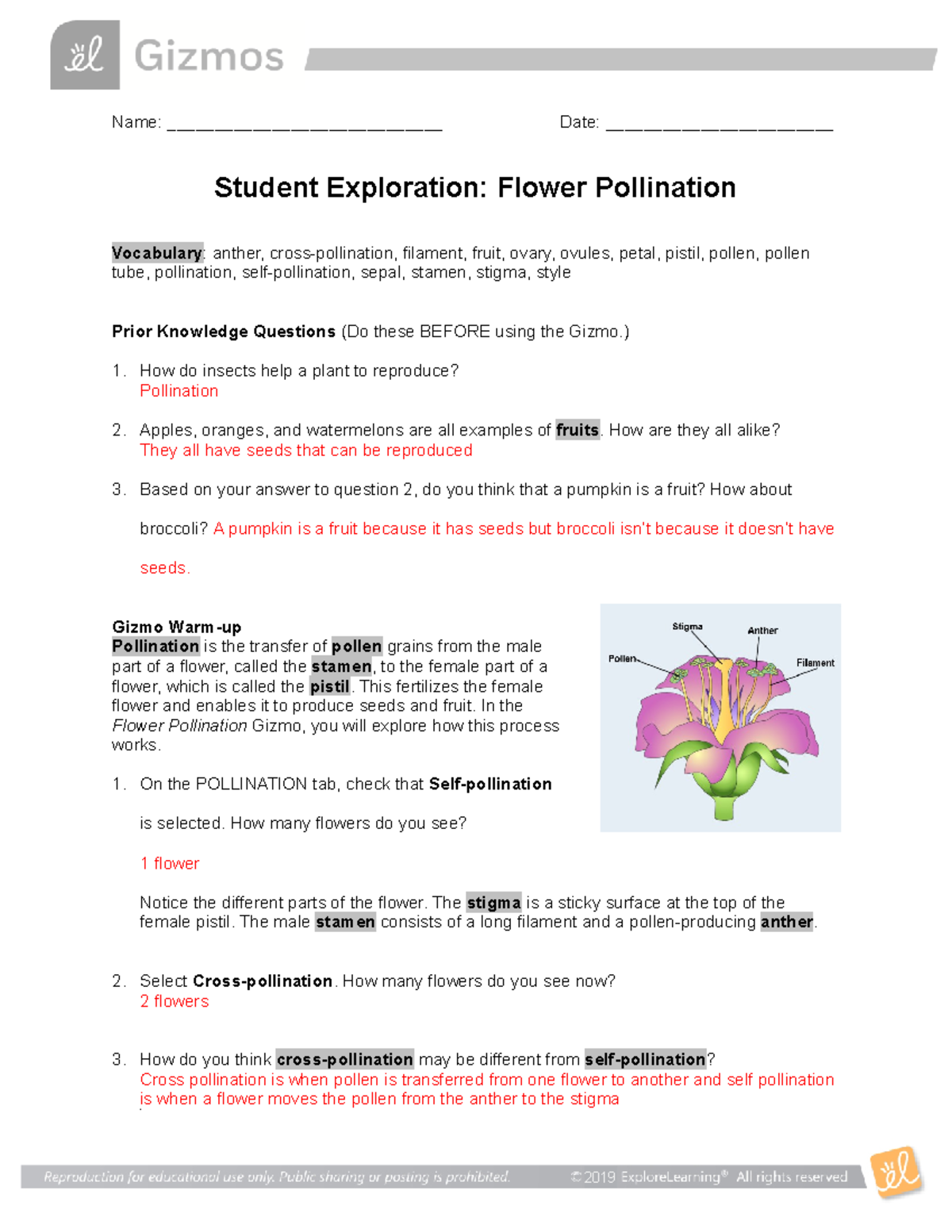 Flowering Plant Gizmo copy gizmo copy Name