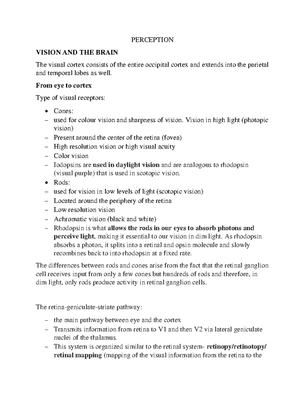 Cognitive notes - PERCEPTION VISION AND THE BRAIN The visual cortex ...