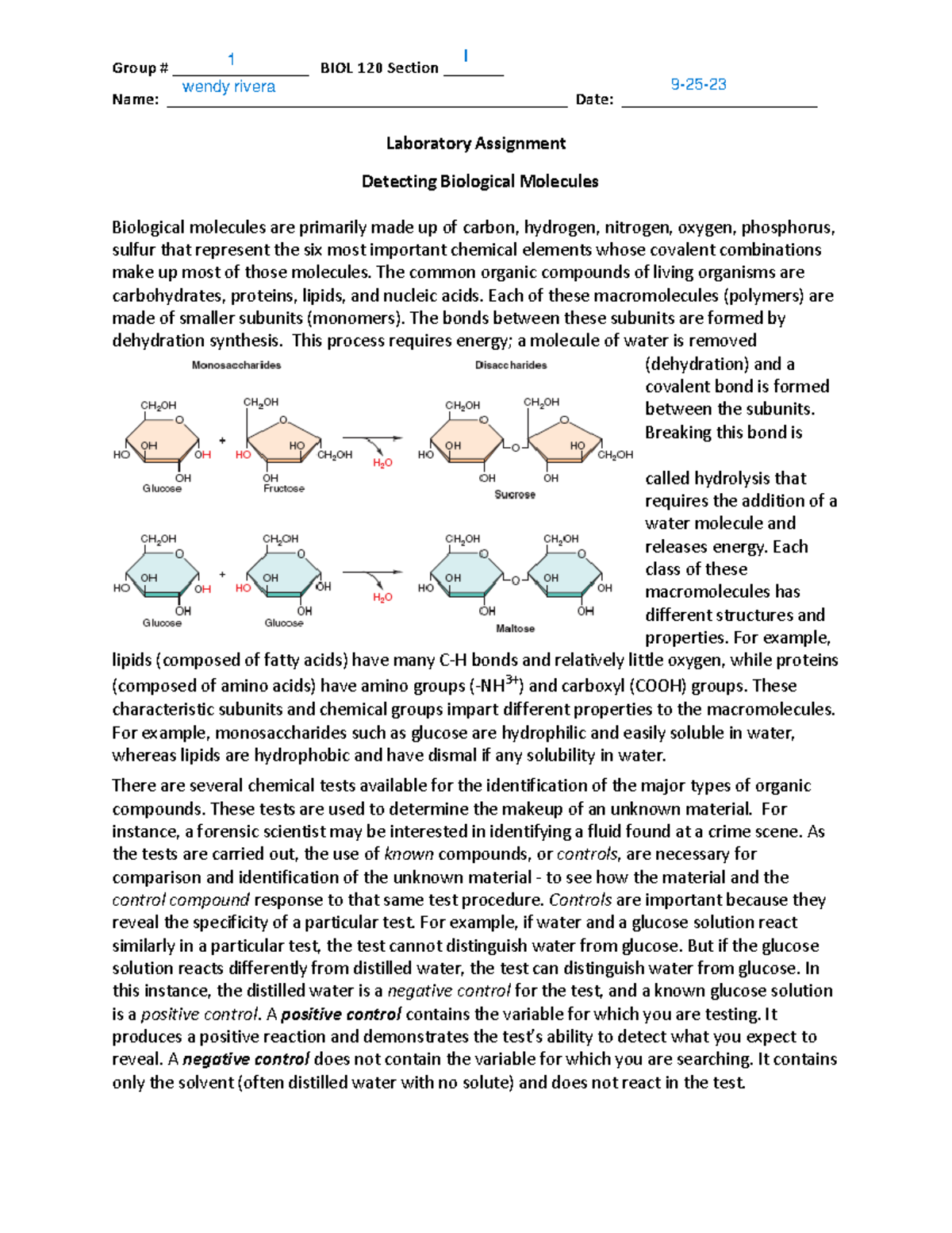 BIOL 120 Laboratory Assignment Detecting Biological Molecules2 Group