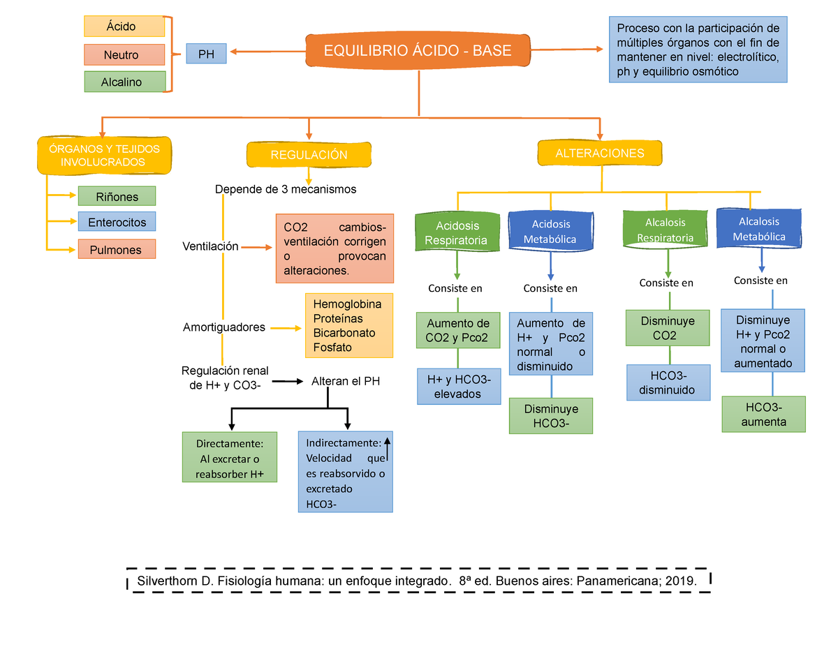 Equilibrio Acido Base Mapa Conceptual Amortiguadores Vrogue Co