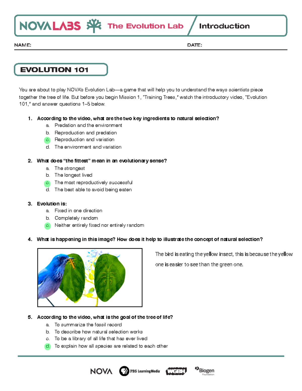 lab assignment 8 evolution