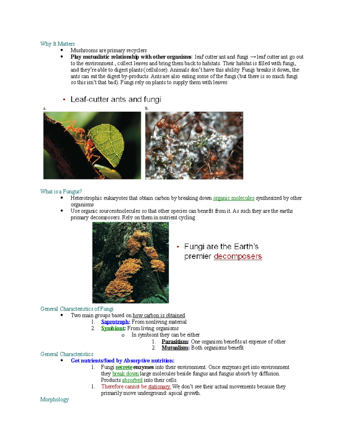 Chapter 25- Fungi - Lecture Notes 25 - Why It Matters Mushrooms Are ...