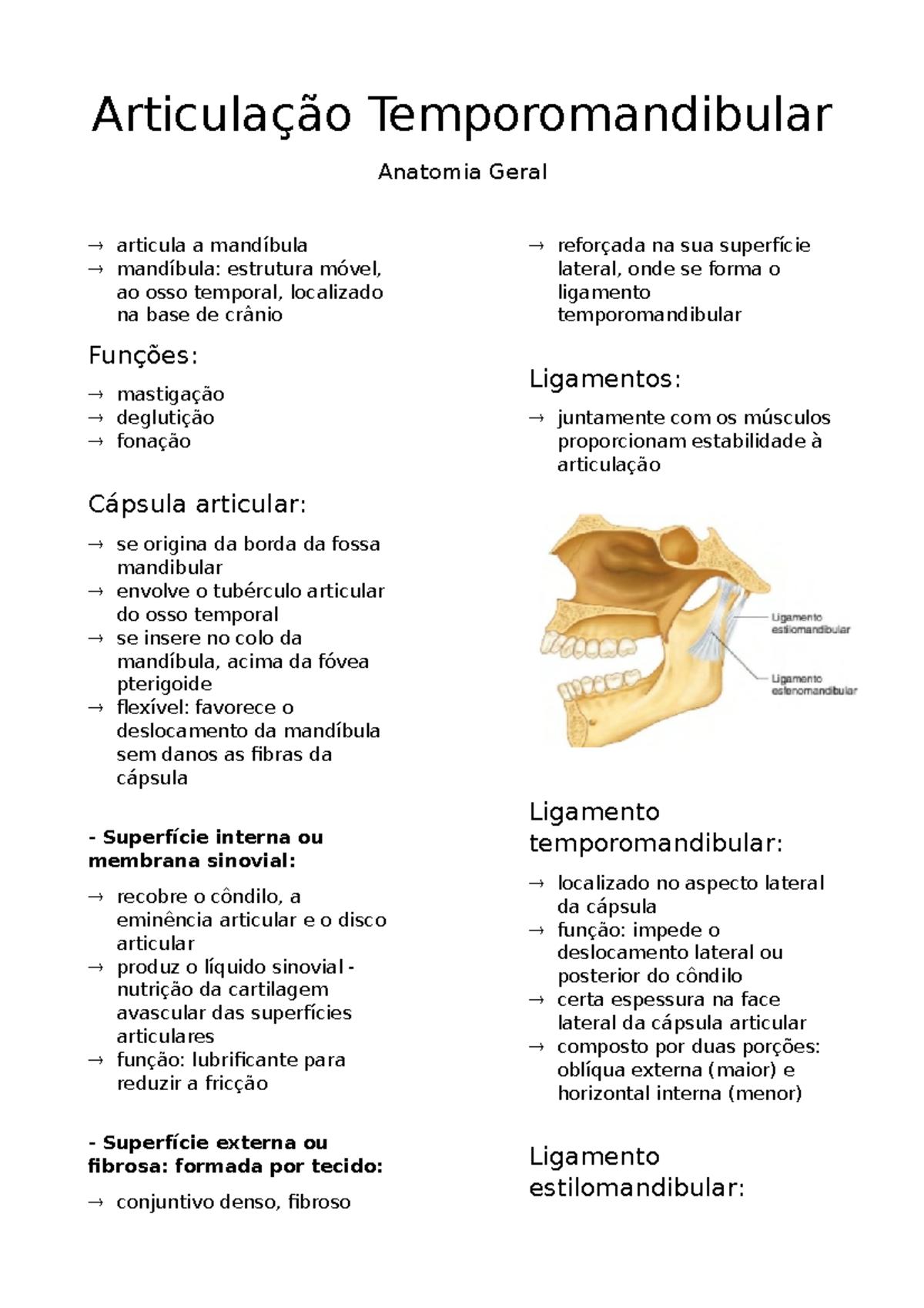 Articulação Temporomandibular: Função e Disfunção