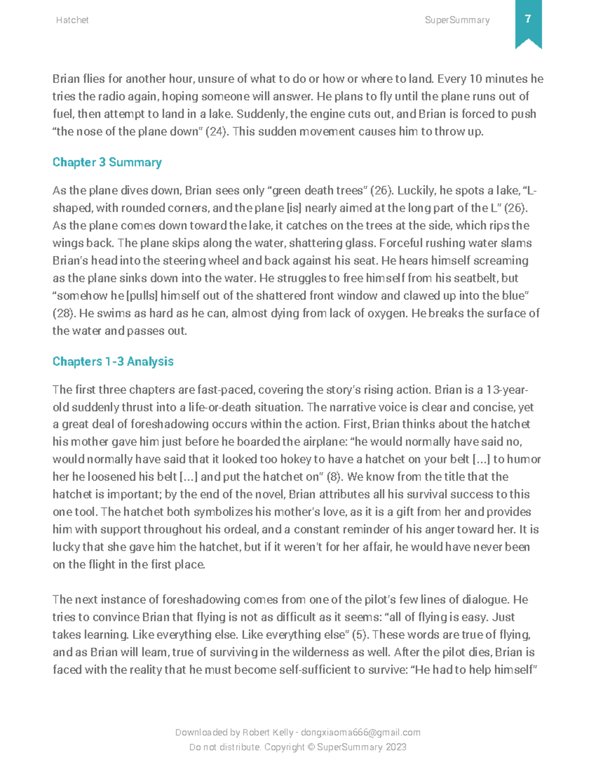 Hatchet super summary study guide 8 brian flies for another hour
