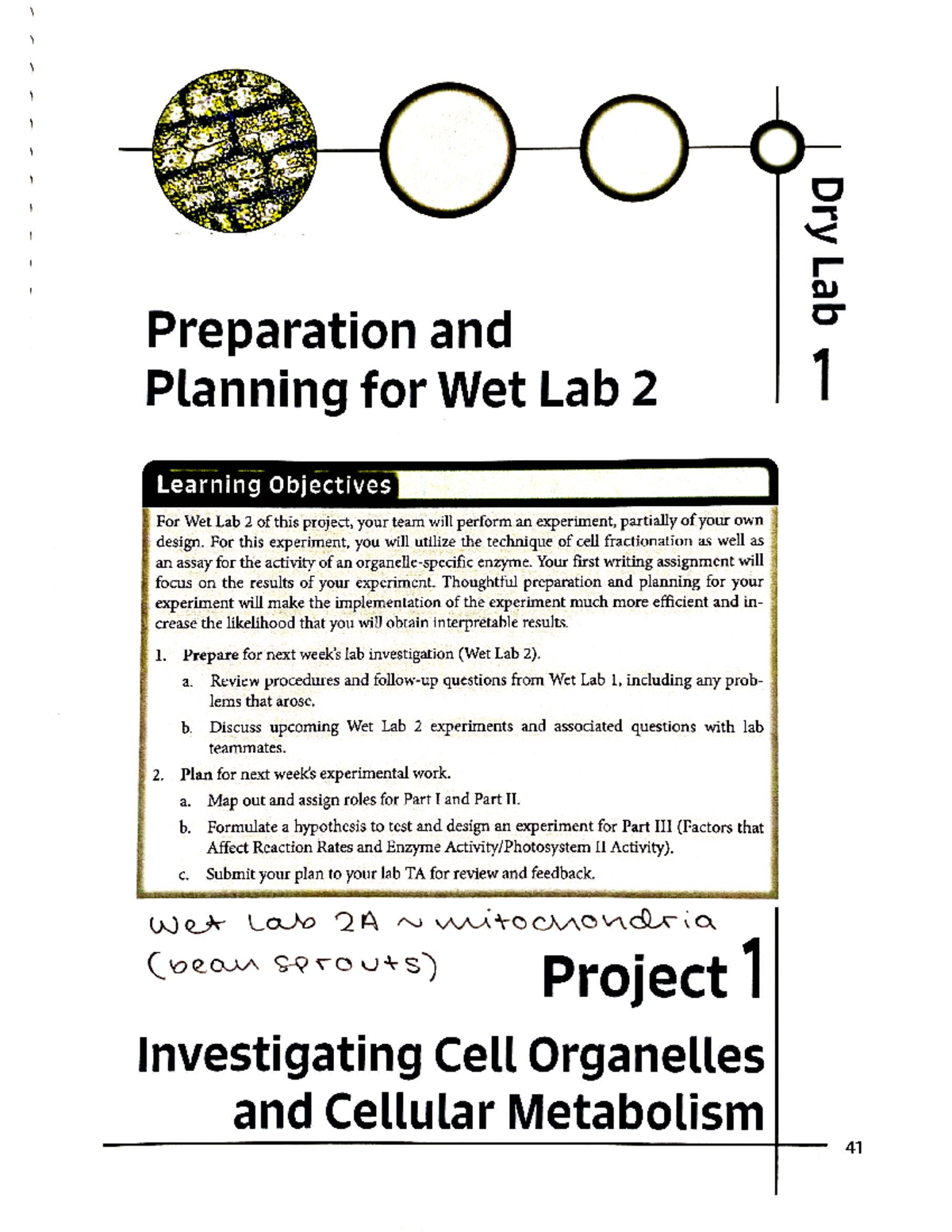 Dry Lab 1 Assignment - BIOL14110AAA - Studocu