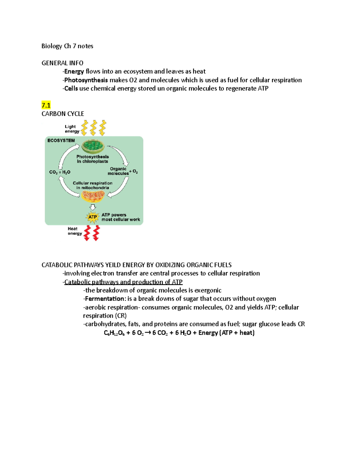 Quizlet Biology Chapter 7 - 10qo7ys