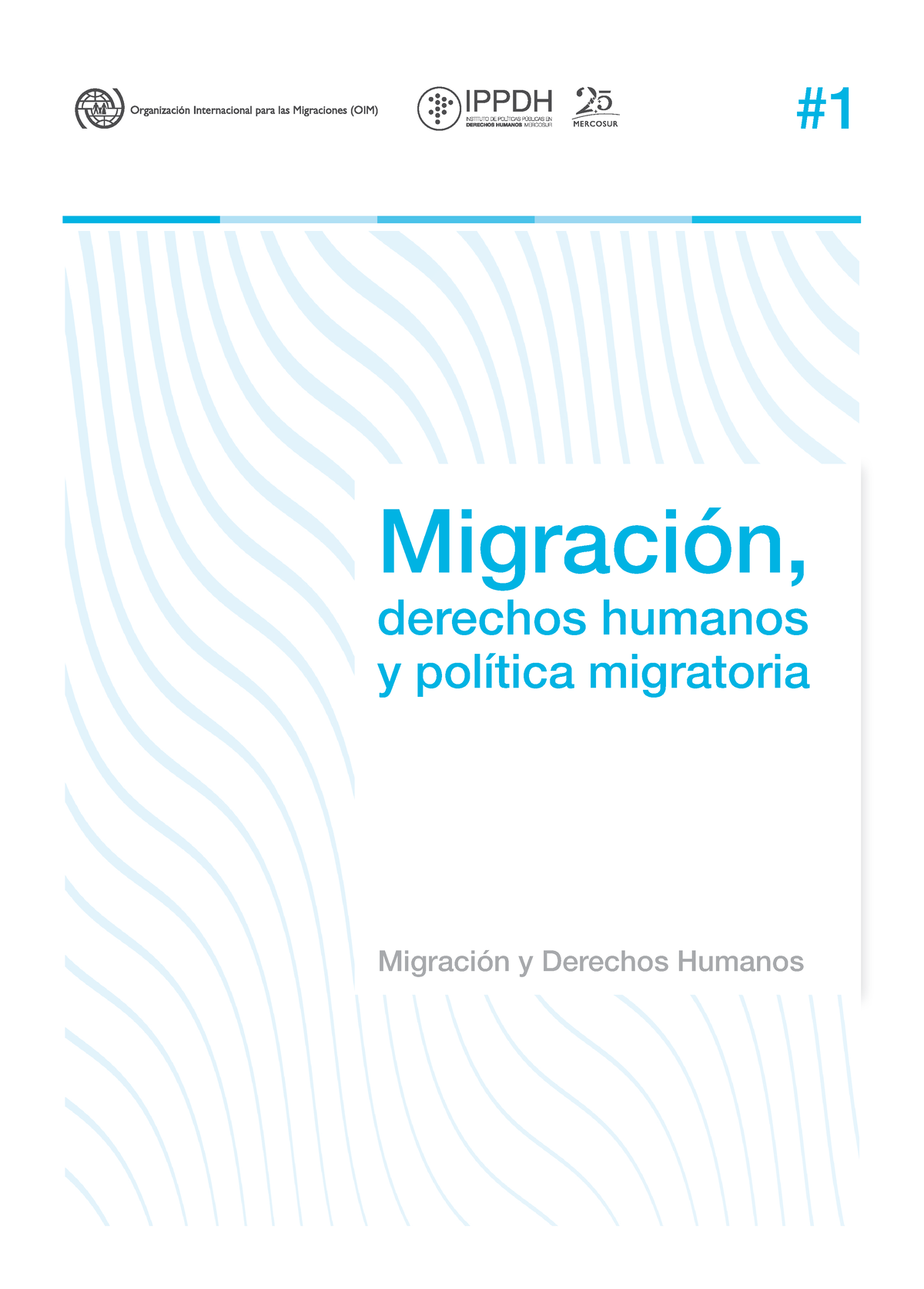 Migración Derechos Humanos Y Política Migratoria - Migración, Derechos ...