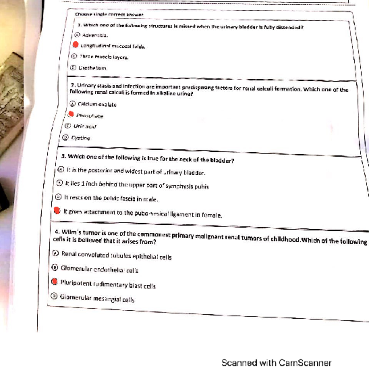 Renal Quiz 2 - Pathology - Studocu