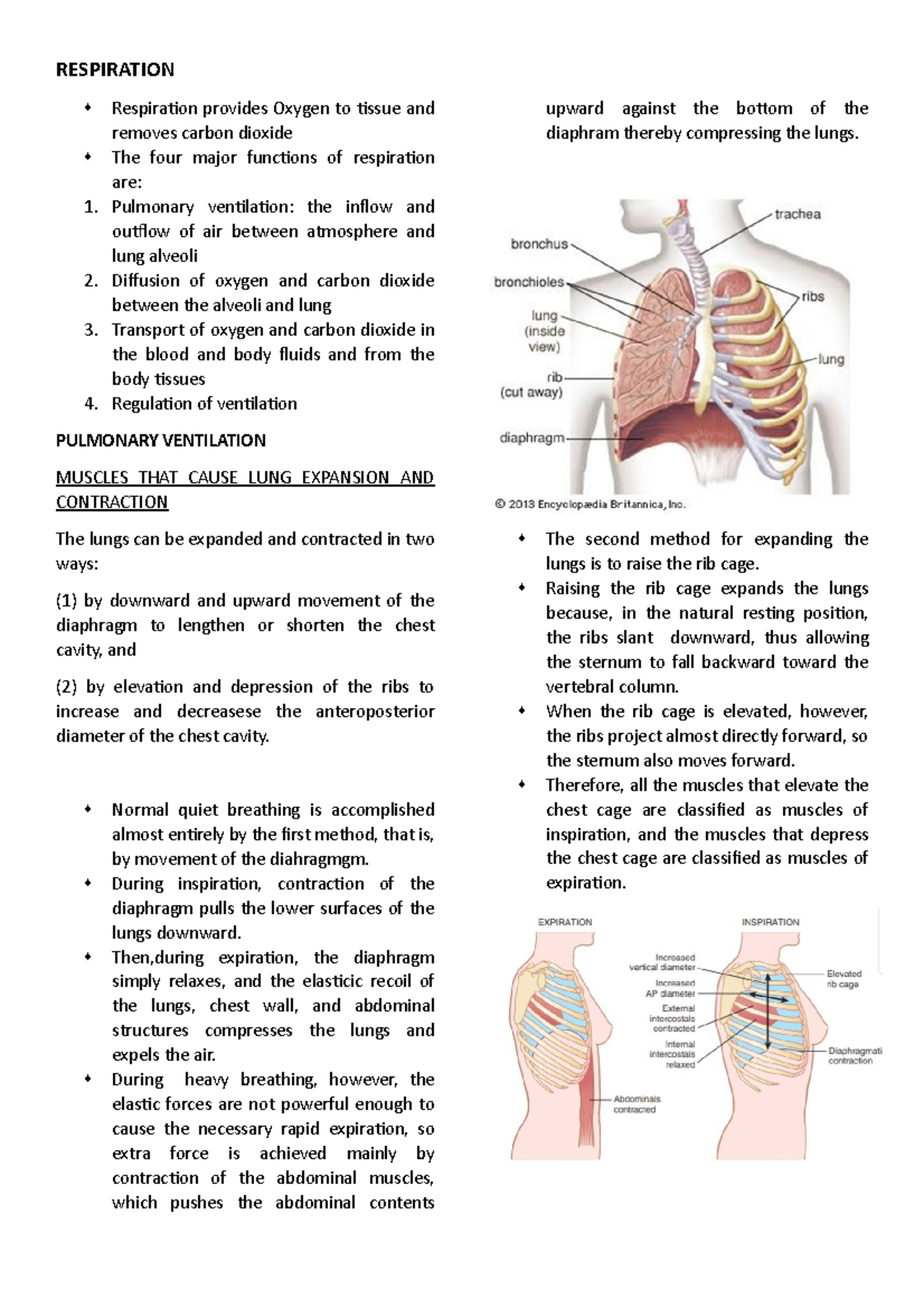 Respiration - structure with detailed explanation - RESPIRATION ...