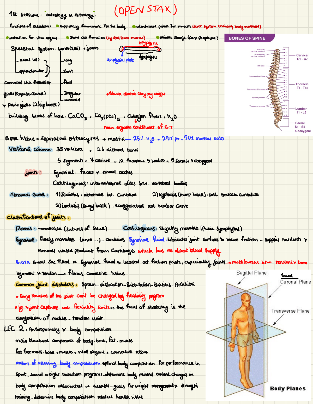 Lab 1 Summary Note - BPK 142 - SFU - Studocu