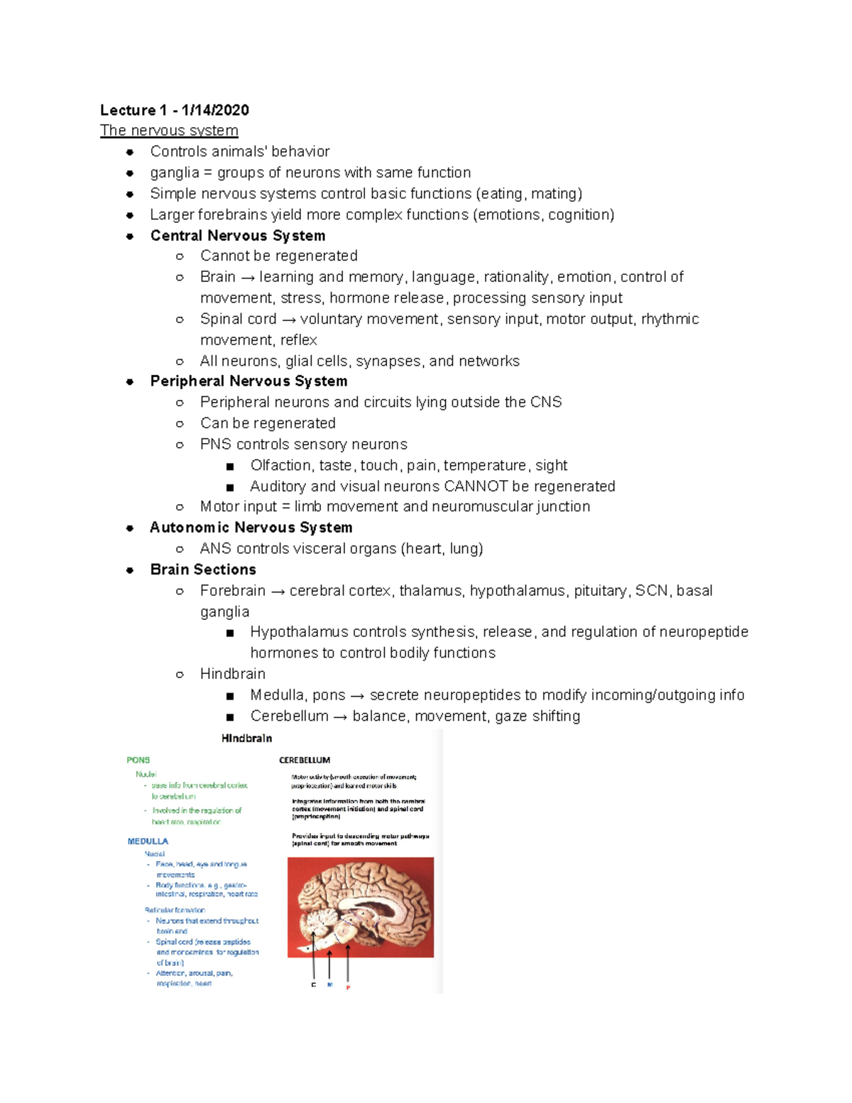 Advanced Neurobiology Notes - Lecture 1 - 1/14/ The nervous system ...