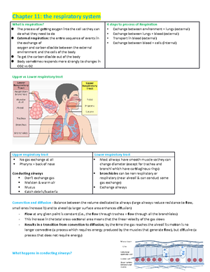 Human Physiology II The Mechanics of Respiration and the Importance of ...