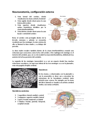 A comprehensive review of the foramina of Luschka history, anatomy ...