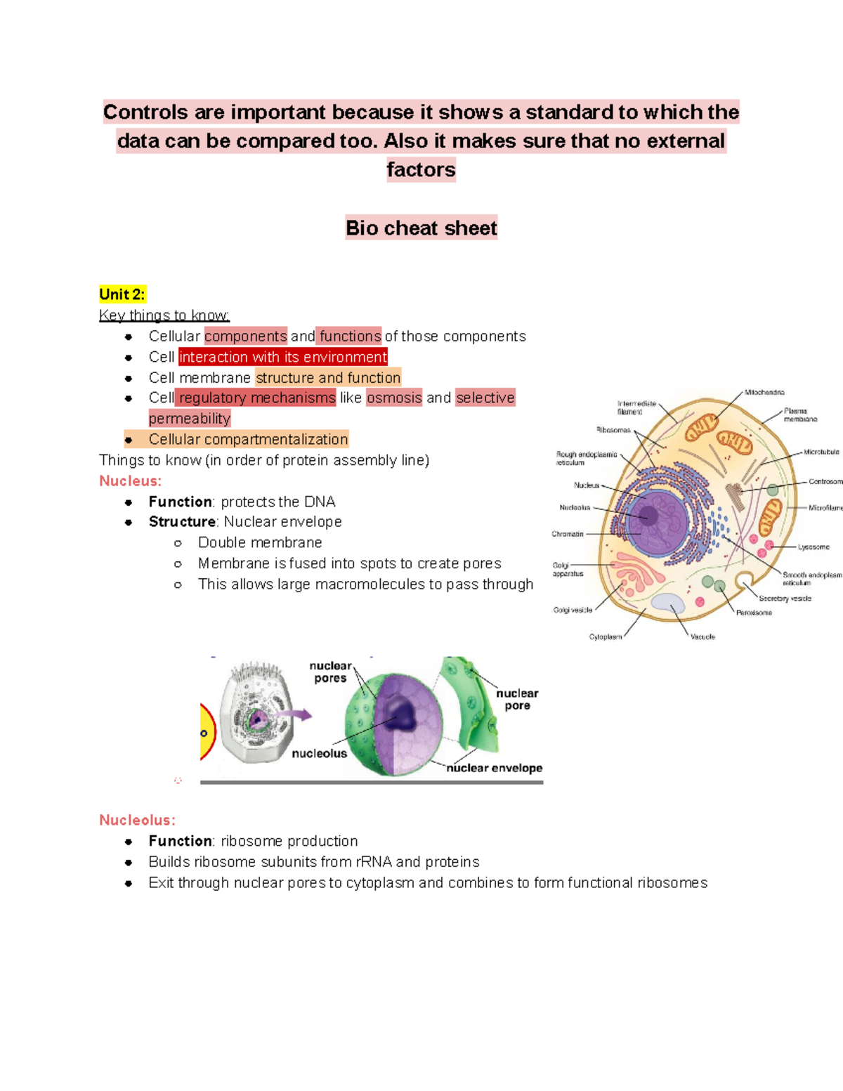 AP BIO Cheat Sheet 2020 - Controls are important because it shows a ...