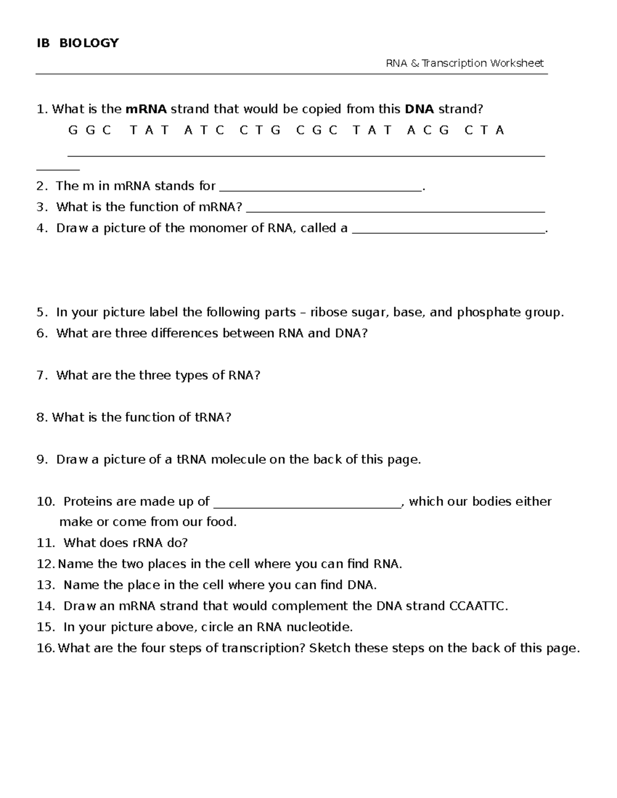 Transcription practice - IB BIOLOGY RNA & Transcription Worksheet What ...