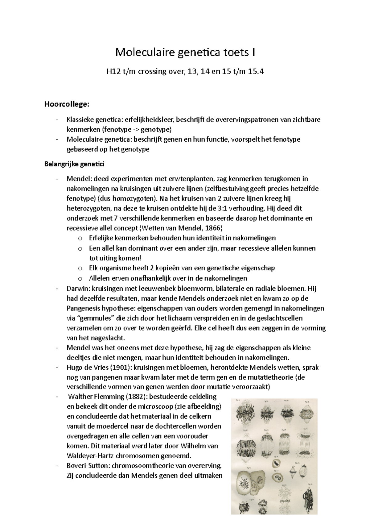 Samenvatting Moleculaire Genetica Toets I - Studeersnel