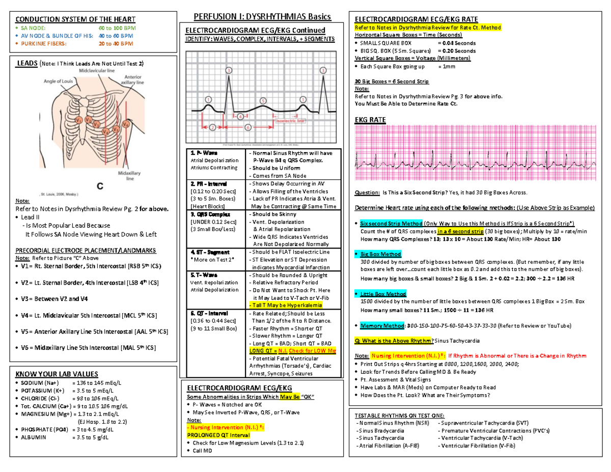 Perf I Dysrhythmias FC Basic Review - P- Wave Atrial Depolarization ...