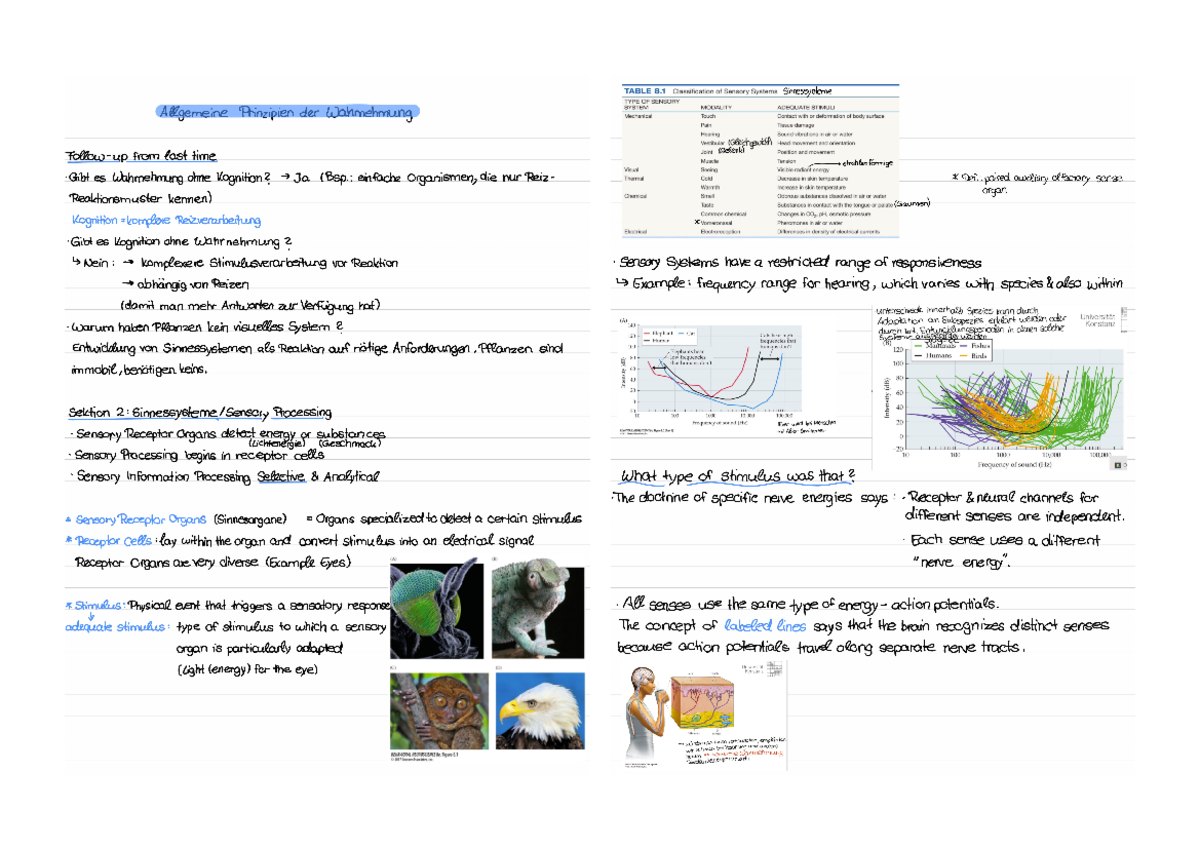 KOGNITION GEISTIGE WAHRNEHMUNG EINFACH ERKL RT MIT VIDEO visual data 2
