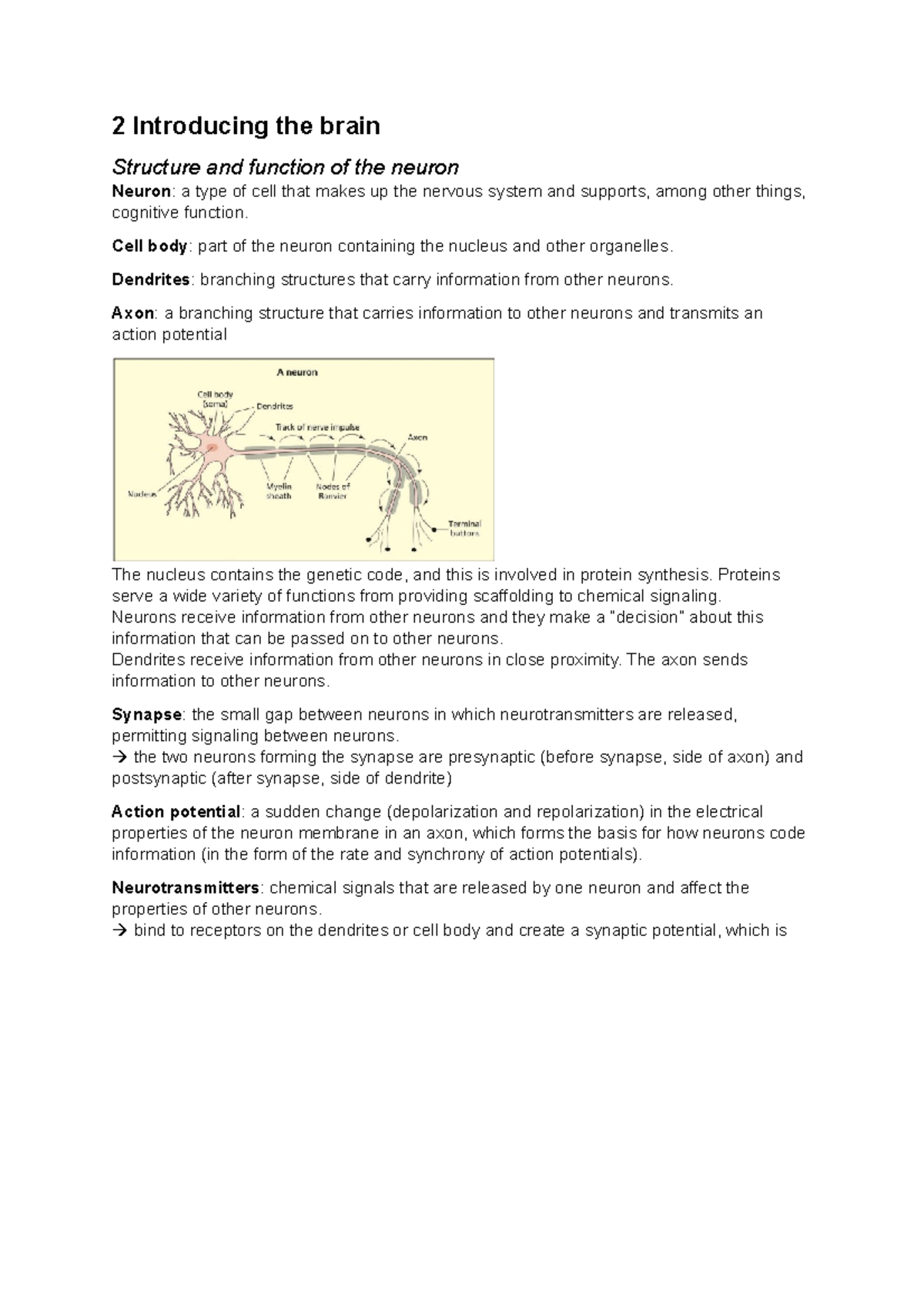 Chapter 2 Introducing the brain - Students Guide to Cognitive ...