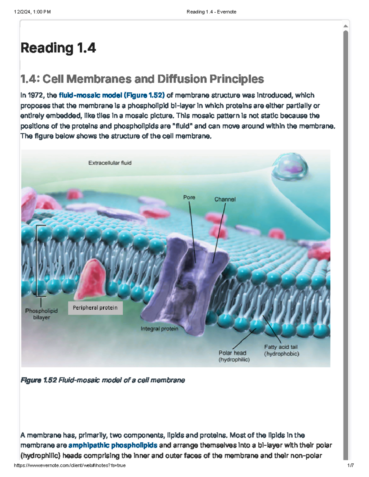 1.4 Cell Membranes and Diffusion Principles Reading 1. 1 Cell