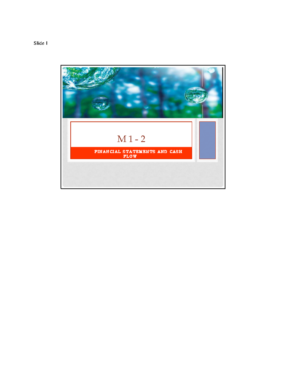 M 1 -2 note - slides outlining class notes - F I N A N C I A L S T A T ...
