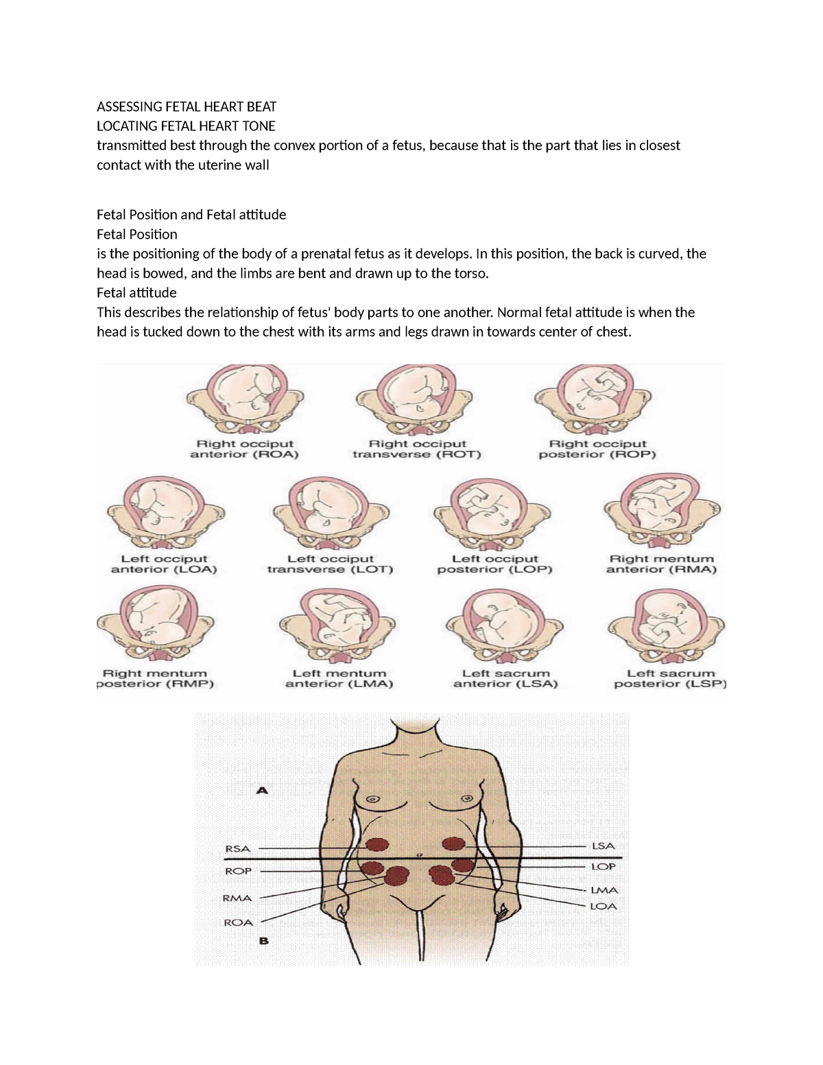 Assessing Fetal Heart BEAT - ASSESSING FETAL HEART BEAT LOCATING FETAL ...