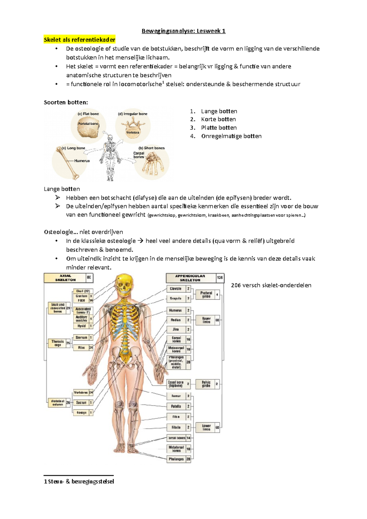 Bewegingsanalyse-inleiding - Bewegingsanalyse: Lesweek 1 Skelet Als ...
