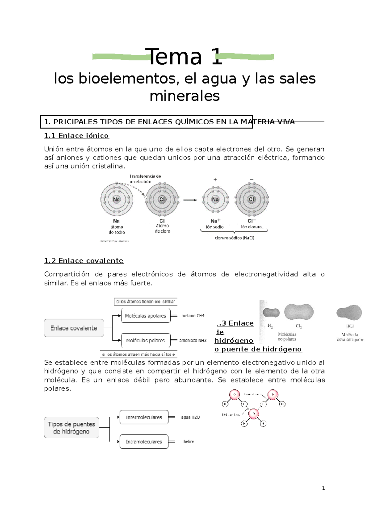 Tema 1 Bioelementos Resumen - Tema 1 Los Bioelementos, El Agua Y Las ...