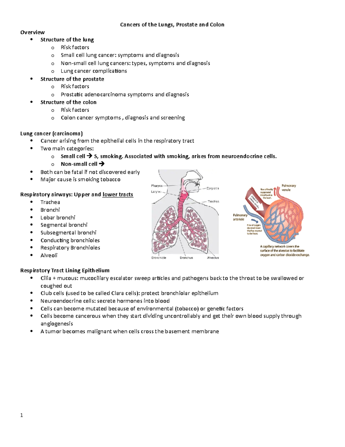 11-18 Cancers of the Lungs prostate and colon patho - Cancers of the ...